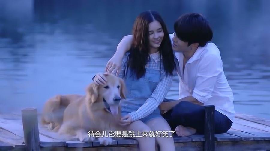美人鱼游玩